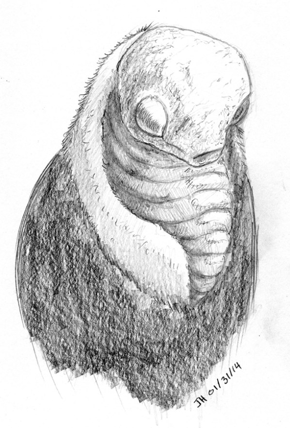 joshhagen_endjansketch3b