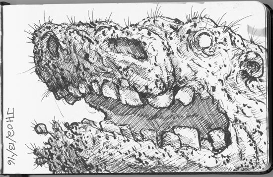 joshhagen_feb13_2016_2